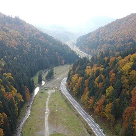 Pensiunea Bradului Colibiţa Esterno foto