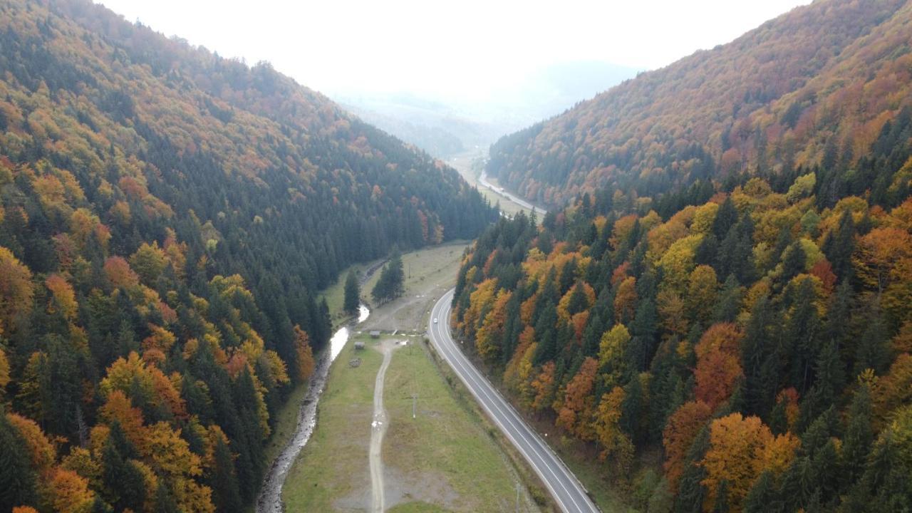 Pensiunea Bradului Colibiţa Esterno foto